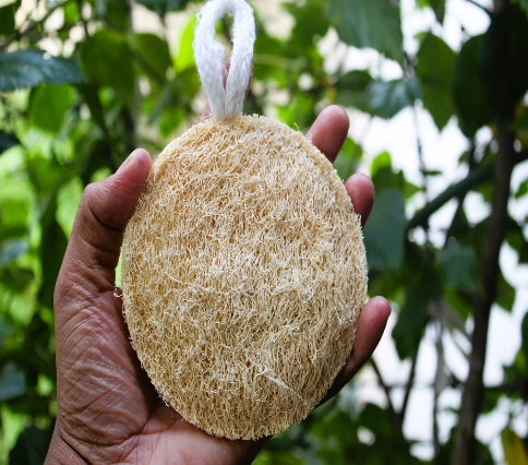 Natural Round Stitched Loofah 1